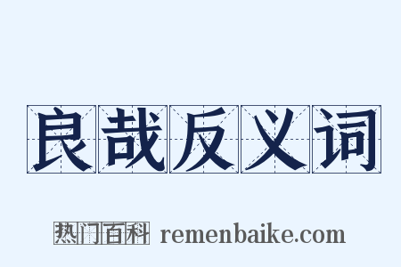 良哉反义词是什么意思的图片